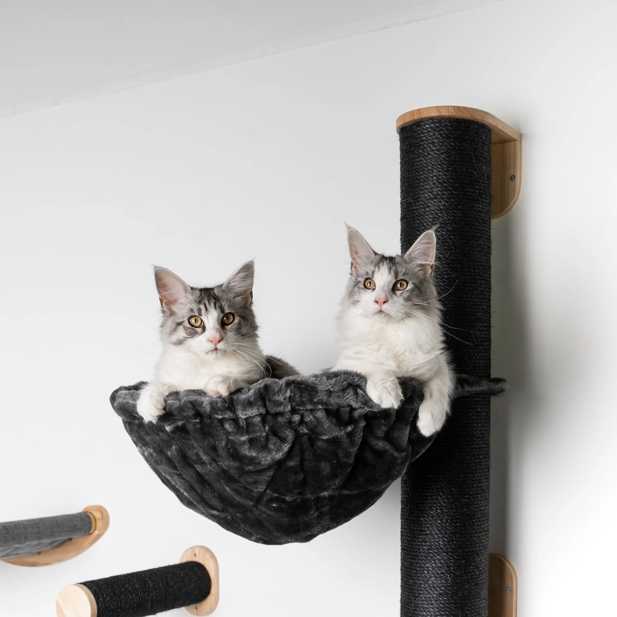 Muro Escalada para Gatos - Polo de Sisal XXL con Hamaca 45Ø de Luxe Blackline (Gris Oscuro)